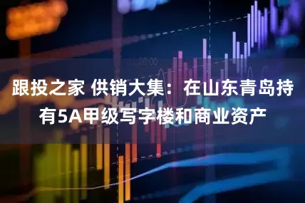 跟投之家 供销大集：在山东青岛持有5A甲级写字楼和商业资产