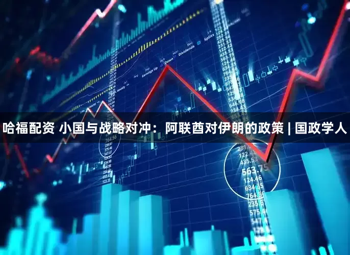 哈福配资 小国与战略对冲：阿联酋对伊朗的政策 | 国政学人