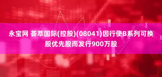 永宝网 荟萃国际(控股)(08041)因行使B系列可换股优先股而发行900万股