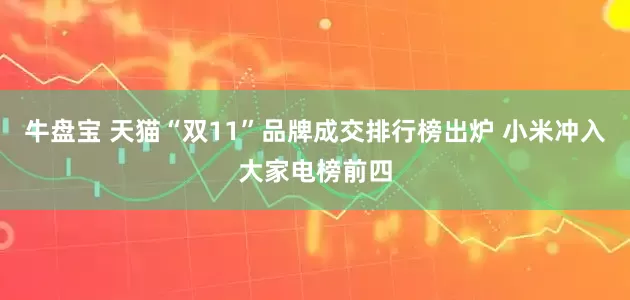 牛盘宝 天猫“双11”品牌成交排行榜出炉 小米冲入大家电榜前四